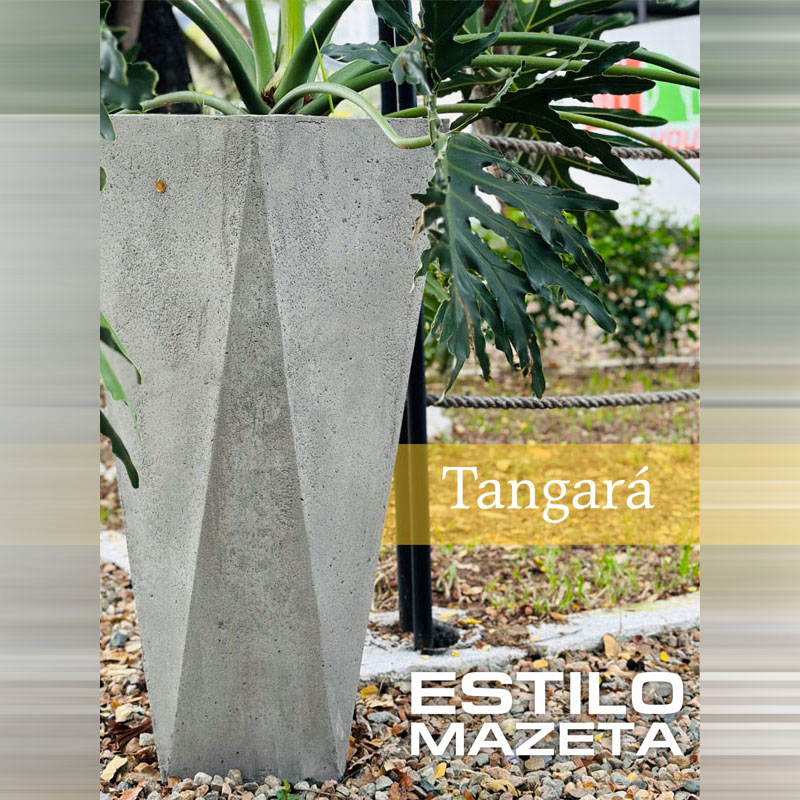 Tangara 100